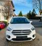 Ford Kuga Titanium Autom. 4x4 *Standhzg., Navi, RFK* Blanc - thumbnail 15