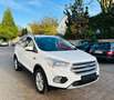 Ford Kuga Titanium Autom. 4x4 *Standhzg., Navi, RFK* Blanc - thumbnail 1