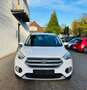 Ford Kuga Titanium Autom. 4x4 *Standhzg., Navi, RFK* Blanc - thumbnail 3