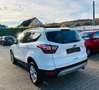 Ford Kuga Titanium Autom. 4x4 *Standhzg., Navi, RFK* Blanc - thumbnail 7