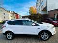 Ford Kuga Titanium Autom. 4x4 *Standhzg., Navi, RFK* Blanc - thumbnail 12