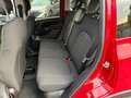 Fiat Panda Pandina Cross 1.0 FIREFLY HYBRID 70CV Rosso - thumbnail 12