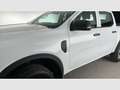 Ford Ranger Doble Cabina 2.0 EcoBlue S&S XL 4x4 170 Blanco - thumbnail 22