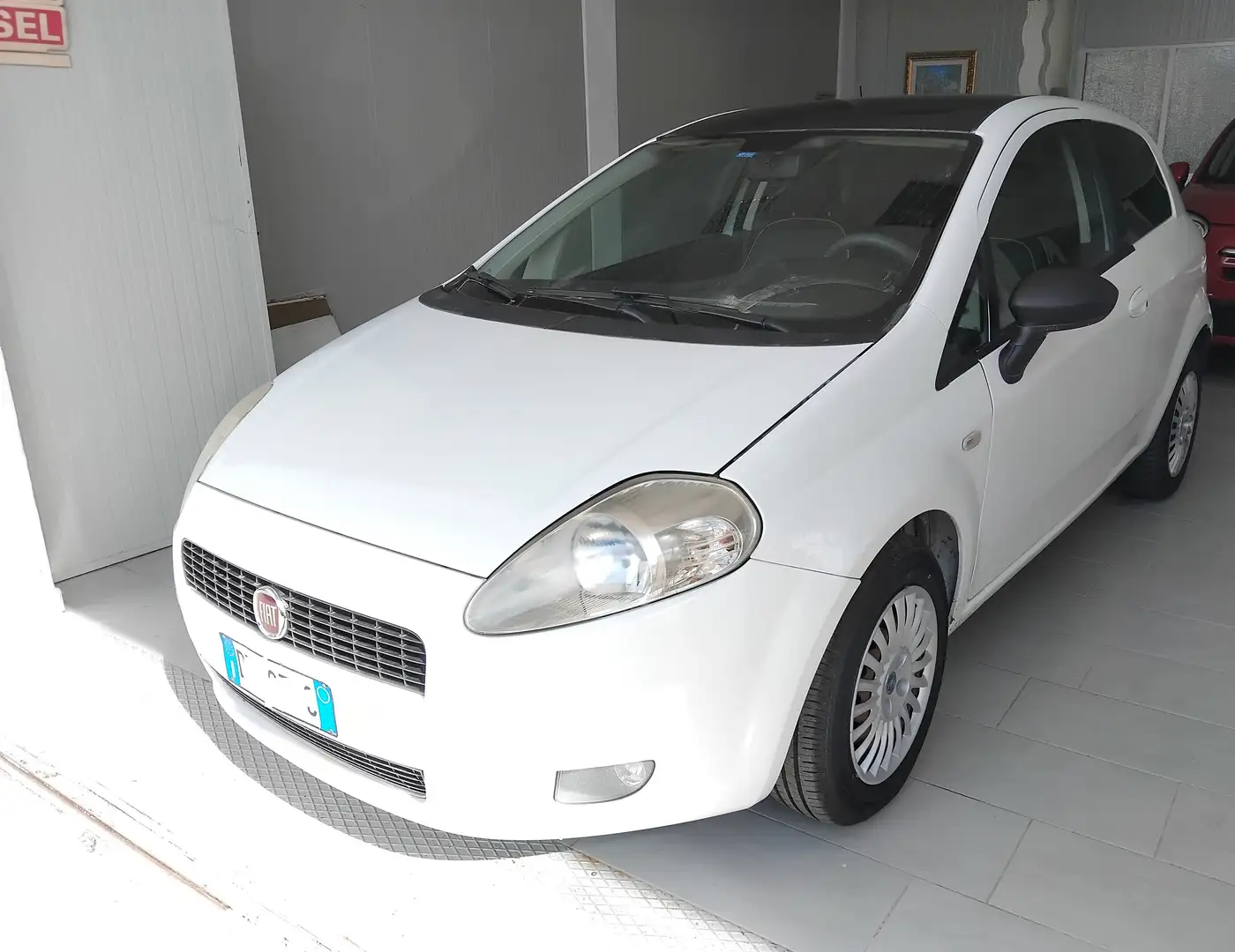 Fiat Punto Bianco - 1