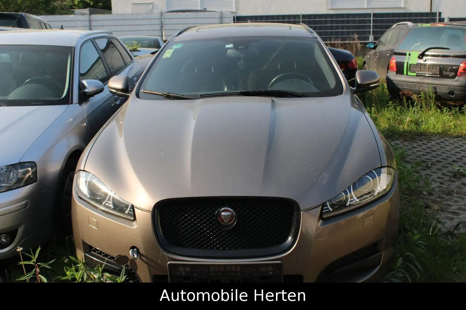 Jaguar XF Sportbrake 3.0 V6 Diesel*LEDER*NAVI*XENON* Grau - 1