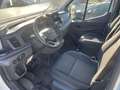 Ford Transit 2.0D 131pk Koel/Vriesbox *Thermoking*Carplay*Ca... Blanc - thumbnail 10