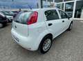 Fiat Punto Punto III 2012 5p 1.4 natural power Street 70cv E6 Bianco - thumbnail 5