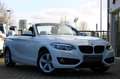 BMW 218 i/SportLine/Navi/Harman/Leder/Sitzhzg/2xPDC Weiß - thumbnail 1