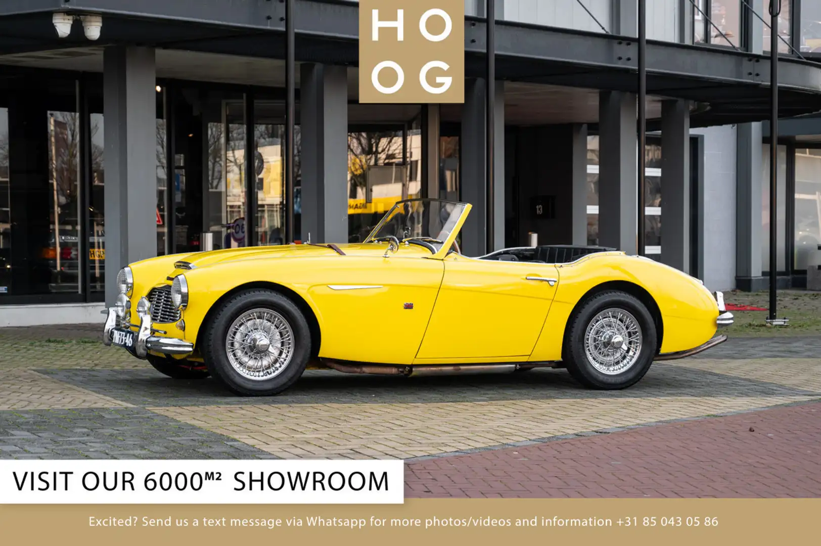 Austin-Healey 100 6 Jaune - 1