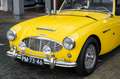 Austin-Healey 100 6 Jaune - thumbnail 16