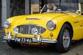 Austin-Healey 100 6 Jaune - thumbnail 14