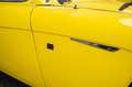 Austin-Healey 100 6 Jaune - thumbnail 28