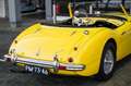 Austin-Healey 100 6 Jaune - thumbnail 50