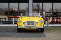 Austin-Healey 100 6 Jaune - thumbnail 5