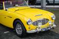 Austin-Healey 100 6 Jaune - thumbnail 20
