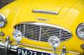 Austin-Healey 100 6 Jaune - thumbnail 38