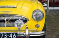 Austin-Healey 100 6 Jaune - thumbnail 36