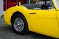 Austin-Healey 100 6 Jaune - thumbnail 24