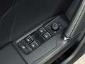 CUPRA Leon SP Kombi 2.0 TDI DSG 4Drive 150 LED AHK Sitz&Le... Grigio - thumbnail 39