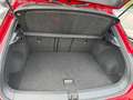 Volkswagen T-Roc 2.0 TDI 150CV AUTO 4MOTION R-LINE - * Rosso - thumbnail 8