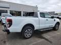 Ford Ranger 3.2 TDCi 200ch Super Cab Wildtrak Blanc - thumbnail 4