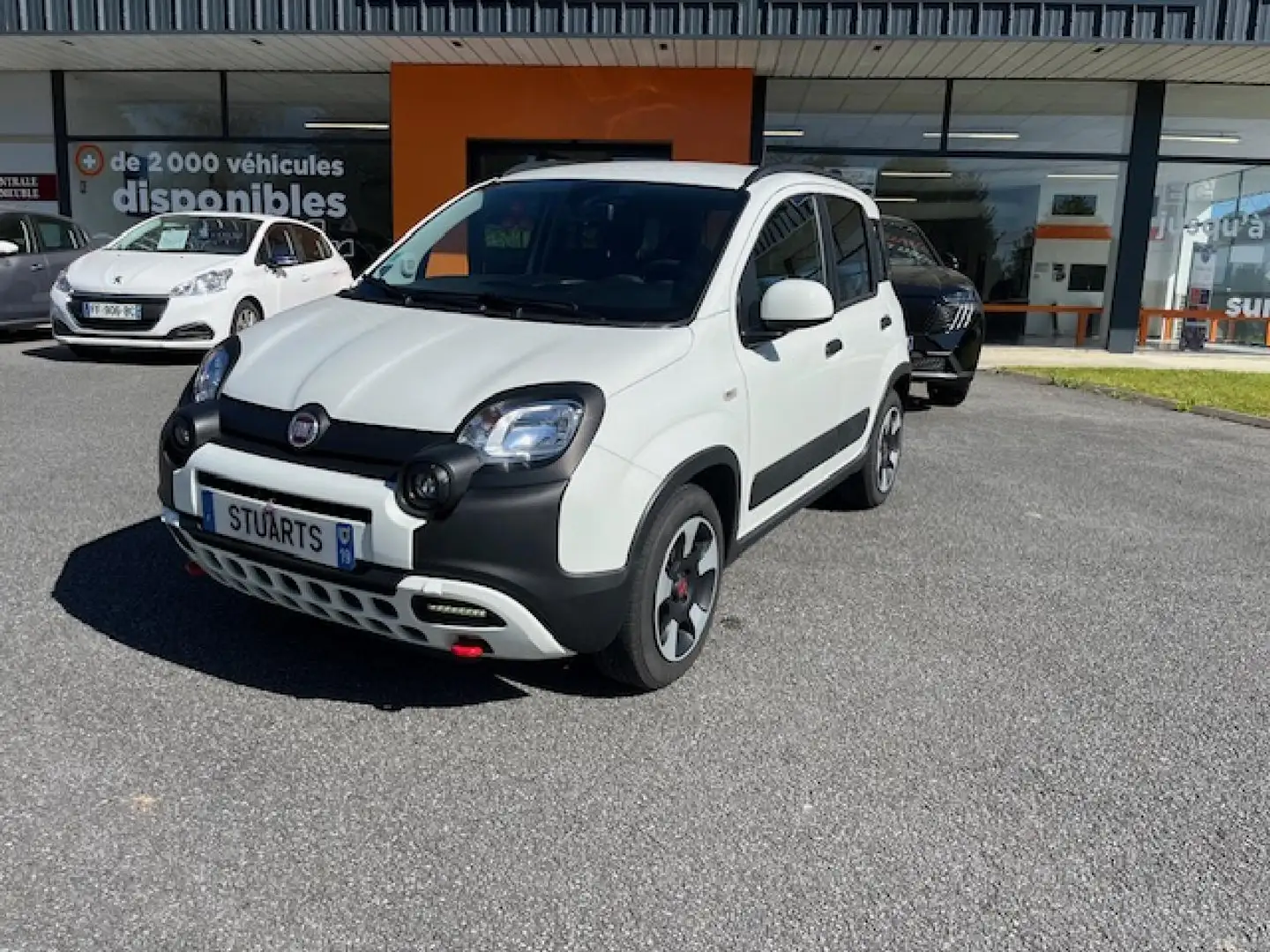 Fiat Panda 1.0i hybrid 70 City Cross Blanc - 2