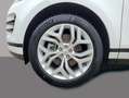 Land Rover Range Rover Evoque D165 R-DYNAMIC SE MY23.5 GAR2028 Weiß - thumbnail 6