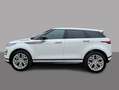 Land Rover Range Rover Evoque D165 R-DYNAMIC SE MY23.5 GAR2028 Weiß - thumbnail 2