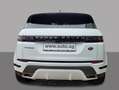Land Rover Range Rover Evoque D165 R-DYNAMIC SE MY23.5 GAR2028 Weiß - thumbnail 5