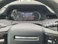 Land Rover Range Rover Evoque D165 R-DYNAMIC SE MY23.5 GAR2028 Weiß - thumbnail 14