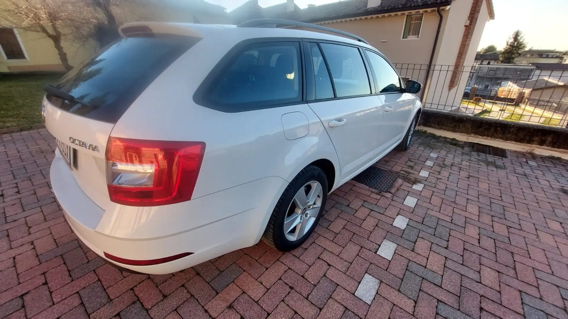 Skoda Octavia Wagon 1.6 tdi Active 115cv Білий - 2