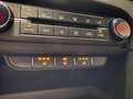 Kia Ceed SW / cee'd SW Sportswagon 1.4 T-GDi automaat DynamicPlusLine, NA Blauw - thumbnail 24
