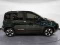 Fiat Panda My25 1.0 70cv Hybrid Pandina Verde - thumbnail 8