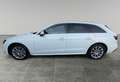 Audi A4 Avant 40 TDI advanced S-tronic Weiß - thumbnail 5
