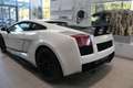 Lamborghini Gallardo Superleggera Blanc - thumbnail 8