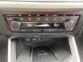 SEAT Arona 1.0 TSI DSG Xcelence LED Full Link RFK SHZ Gri - thumbnail 34