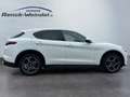 Alfa Romeo Stelvio Q4 2.0 Turbo Sportpaket El. Fondsitzverst. Navi Di Wit - thumbnail 6