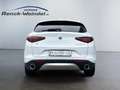 Alfa Romeo Stelvio Q4 2.0 Turbo Sportpaket El. Fondsitzverst. Navi Di Wit - thumbnail 4