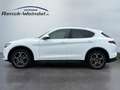 Alfa Romeo Stelvio Q4 2.0 Turbo Sportpaket El. Fondsitzverst. Navi Di Wit - thumbnail 2