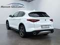 Alfa Romeo Stelvio Q4 2.0 Turbo Sportpaket El. Fondsitzverst. Navi Di Wit - thumbnail 3