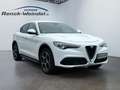 Alfa Romeo Stelvio Q4 2.0 Turbo Sportpaket El. Fondsitzverst. Navi Di Wit - thumbnail 7