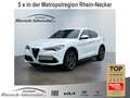 Alfa Romeo Stelvio Q4 2.0 Turbo Sportpaket El. Fondsitzverst. Navi Di Wit - thumbnail 1