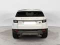 Land Rover Range Rover Evoque 2.0 TD4 180 CV 5p. HSE Bianco - thumbnail 5
