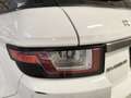 Land Rover Range Rover Evoque 2.0 TD4 180 CV 5p. HSE Bianco - thumbnail 7