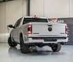 RAM Ram pickup Gris - thumbnail 3