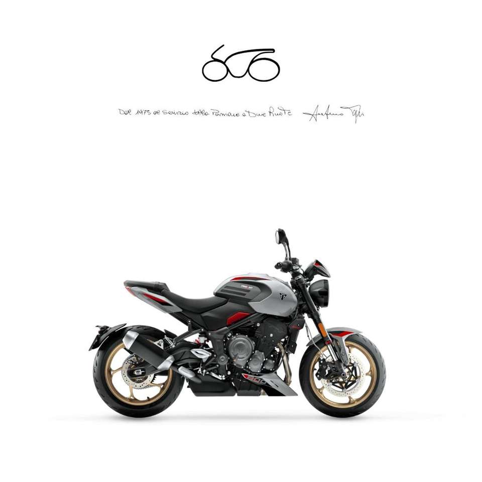 Triumph Others TRIDENT 800