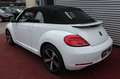 Volkswagen Beetle BEETLE CABRIO ALLSTAR BMT AUTOMATIK NAVI KLIMA Blanc - thumbnail 3