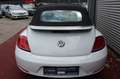 Volkswagen Beetle BEETLE CABRIO ALLSTAR BMT AUTOMATIK NAVI KLIMA Blanc - thumbnail 4