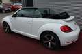 Volkswagen Beetle BEETLE CABRIO ALLSTAR BMT AUTOMATIK NAVI KLIMA Blanc - thumbnail 10