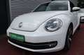 Volkswagen Beetle BEETLE CABRIO ALLSTAR BMT AUTOMATIK NAVI KLIMA Blanc - thumbnail 1